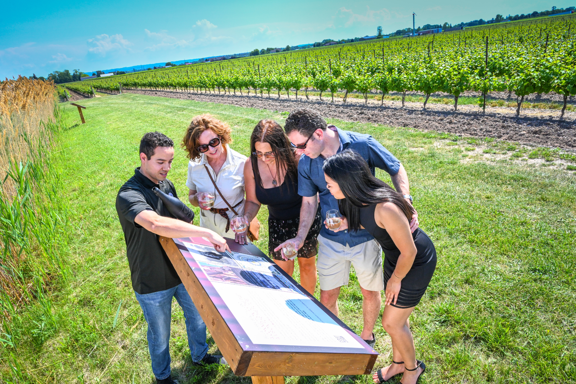 Wine Tours