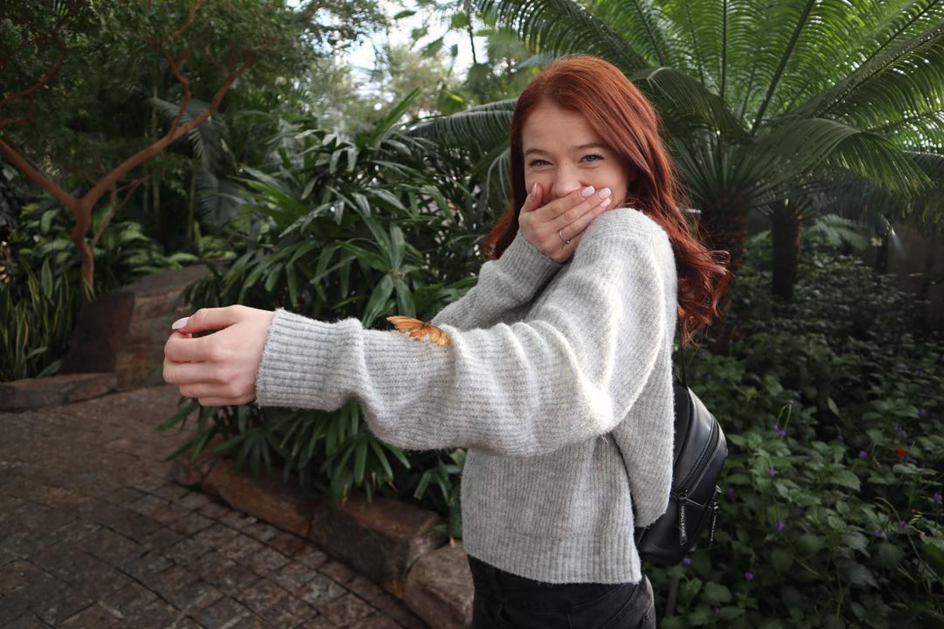 Butterfly Conservatory 