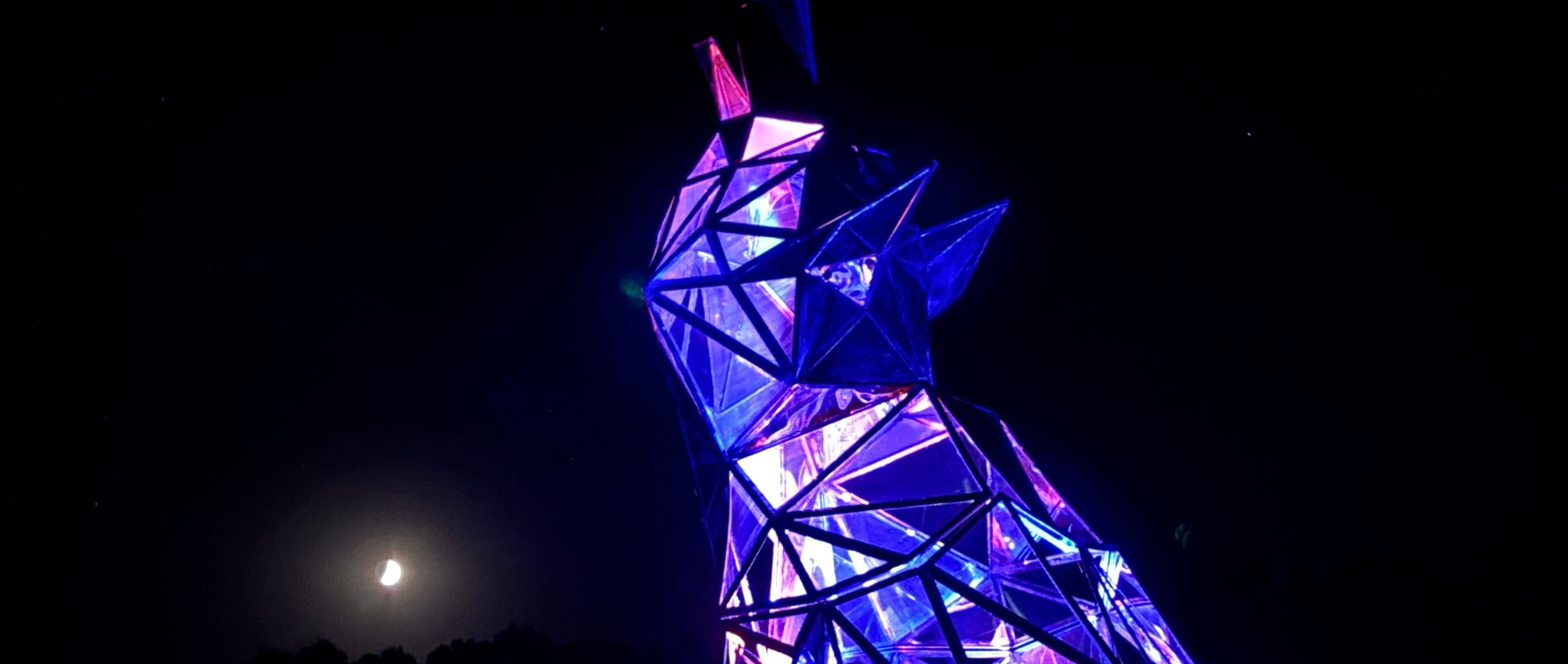 Interactive & Immersive Exhibits